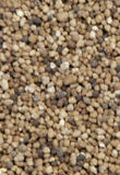 Cropmaster DAP