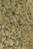 Ravensdown Dicalcic Phosphate®