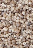 Granular Ammonium Sulphate