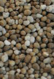 Cropmaster 15