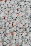 20% Potash Super