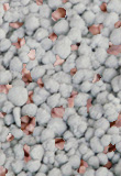 30% Potash Super