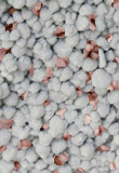 30% Potash Serpentine Super
