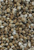 Ammo-Phos® / Hycrop 9-19-7