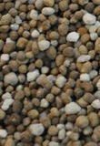 Potash Gold 15-10-10
