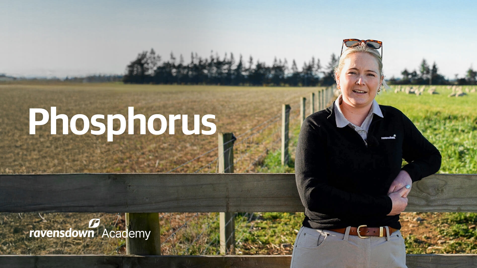 Ravensdown Academy Phosphorus