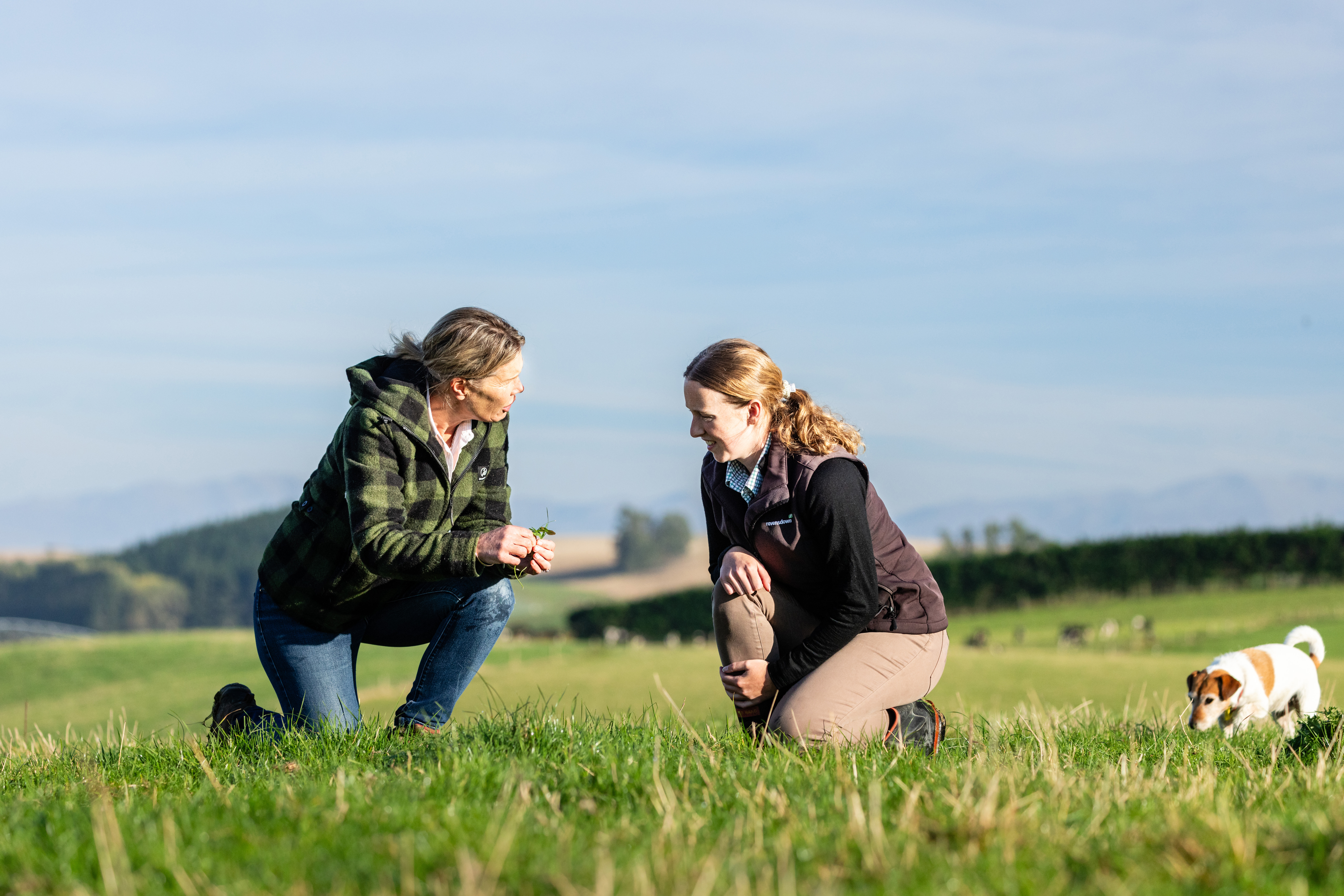 240321 RD Southcanterbury 340