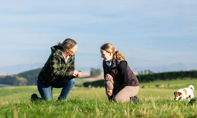 240321 RD Southcanterbury 340