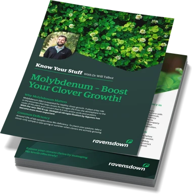 1Ae32879242593653da89266d21da6340544ddd7