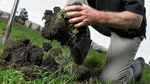 The cost of getting soil fertility wrong