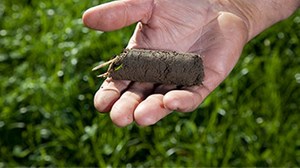 Benefits of whole-farm soil testing highlighted in study