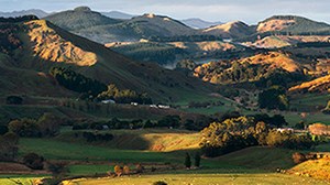 Farming through COVID-19 Podcast