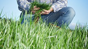 Nitrogen and pasture recovery webinar