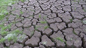 North Canterbury Drought Break