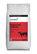 Magnesium Sulphate