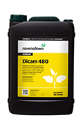 Dicam 480