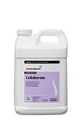 Collaborate Spray Oil