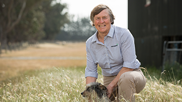 By Julie Wagner, Ravensdown Animal Health Product Manager 