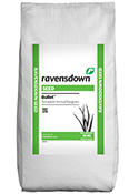 Bullet Annual Ryegrass