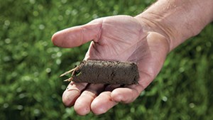 The rise of soil testing