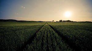 Five ways to wellbeing 