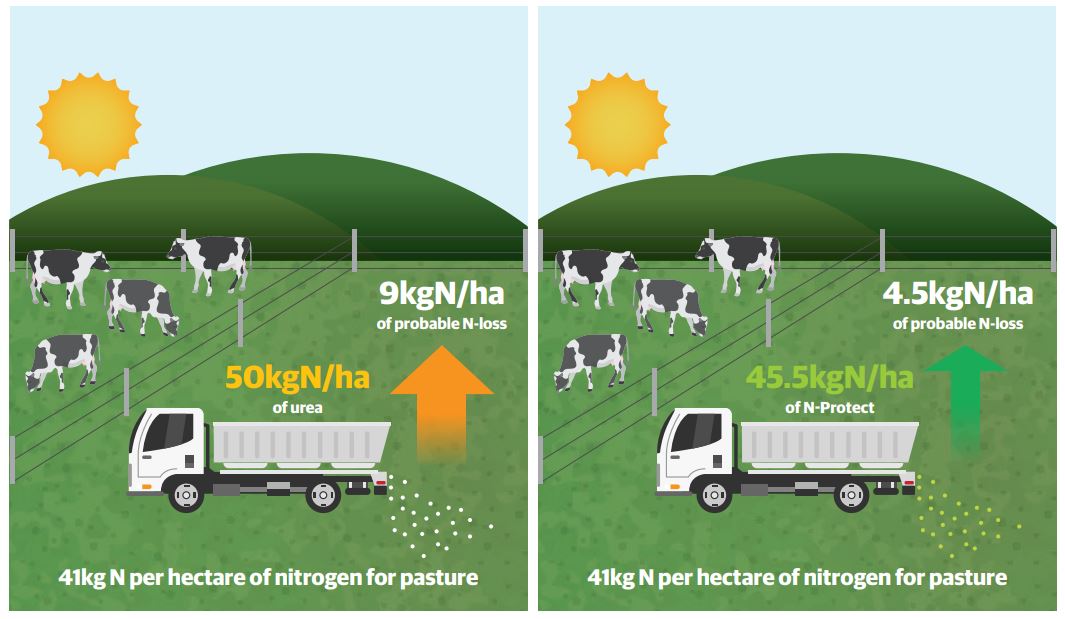 n-protect losses are significantly less when compared to straight urea