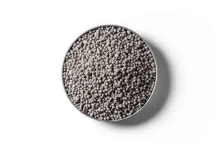Triple Super phosphate fertiliser granules in a round dish