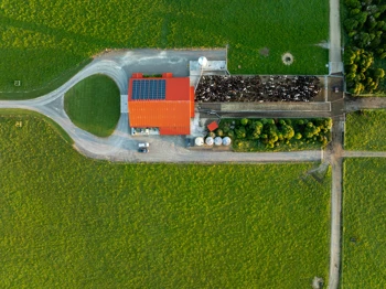 20241119 RAV Stewartdairylands Manawatu 004