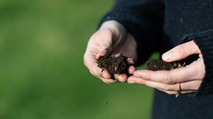 New Zealand’s carbon soil stocks: what do we know? 