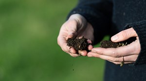 Smarter technology brings wins for arable farmers with new Potential Mineralisable Nitrogen test (PMN)  