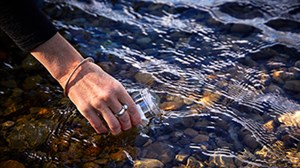 Water quality: we’re on the right track 