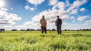 Measure, monitor, manage: N-190 on a Canterbury dairy farm 