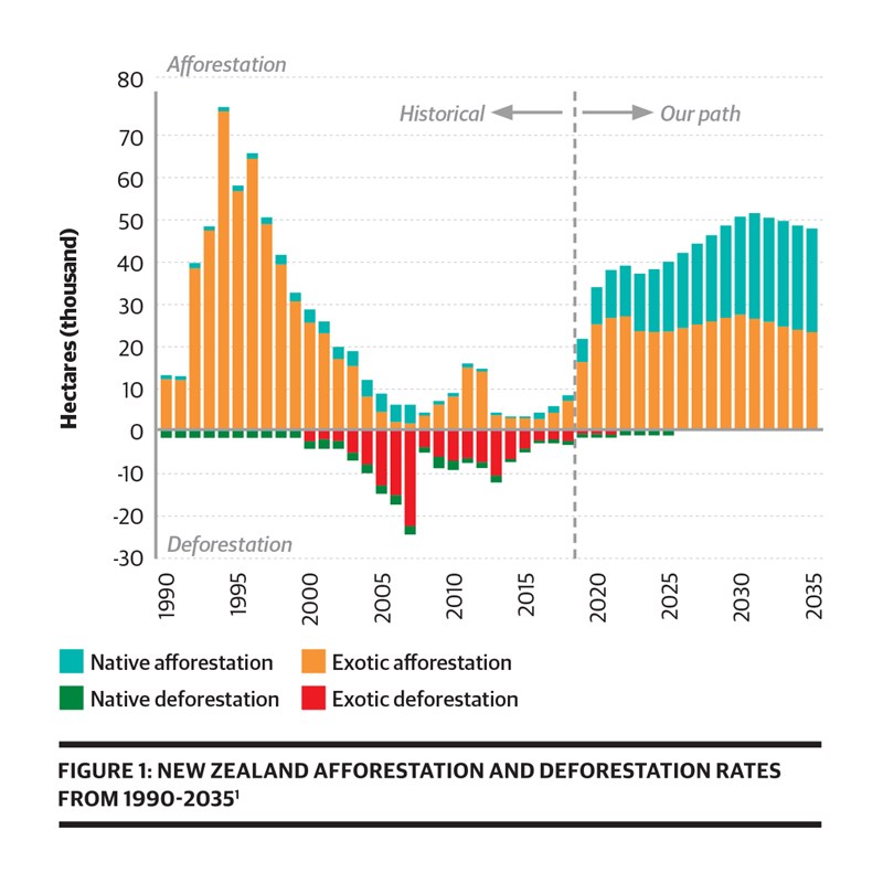 Graph - afforestation and deforestation rates from 1990-2035