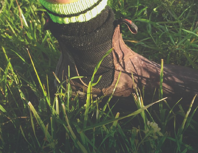 Boot in grass not sprayed with Gibberellic Acid.