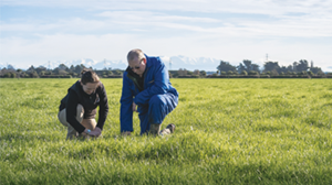Early spring feed gap overcome