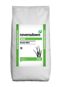 Avatar NEA Perennial Ryegrass