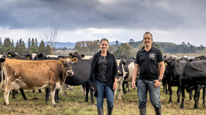Less is more in the Bay of Plenty