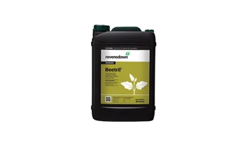 Beetril 20L 700X420