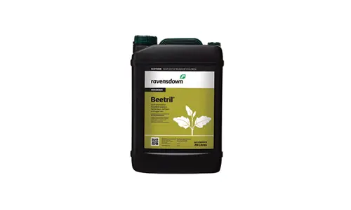 Beetril 20L 700X420