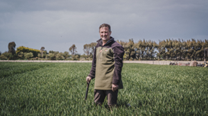 Soil health paves way for arable success 
