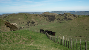 Data-rich imagery offers breakthrough for hill country farms