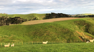 Chasing carbon neutrality with the help of AirScan technology 