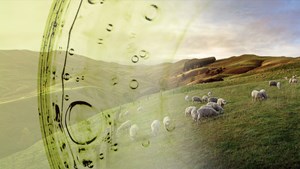 JV makes debut investment in emissions reduction tech