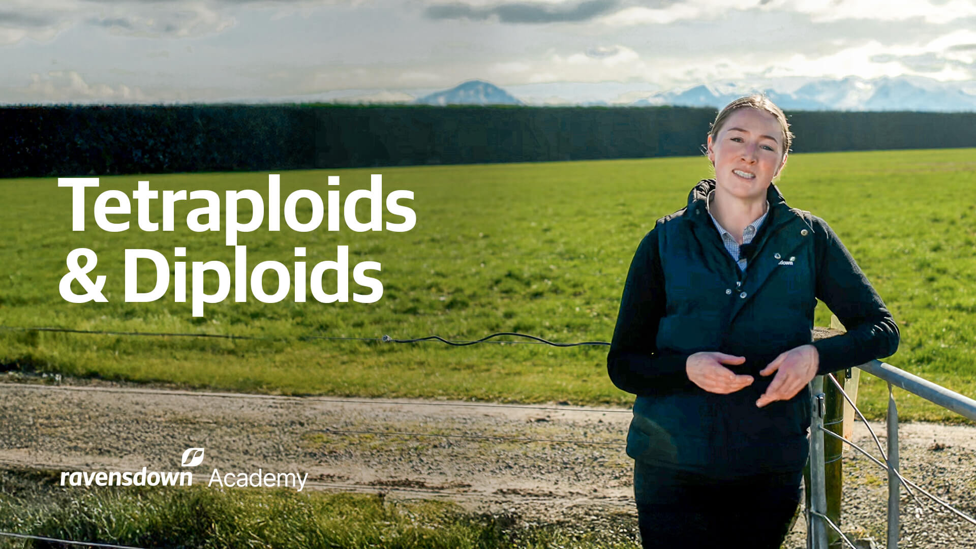 Ravensdown Academy Tetraploids & Diploids