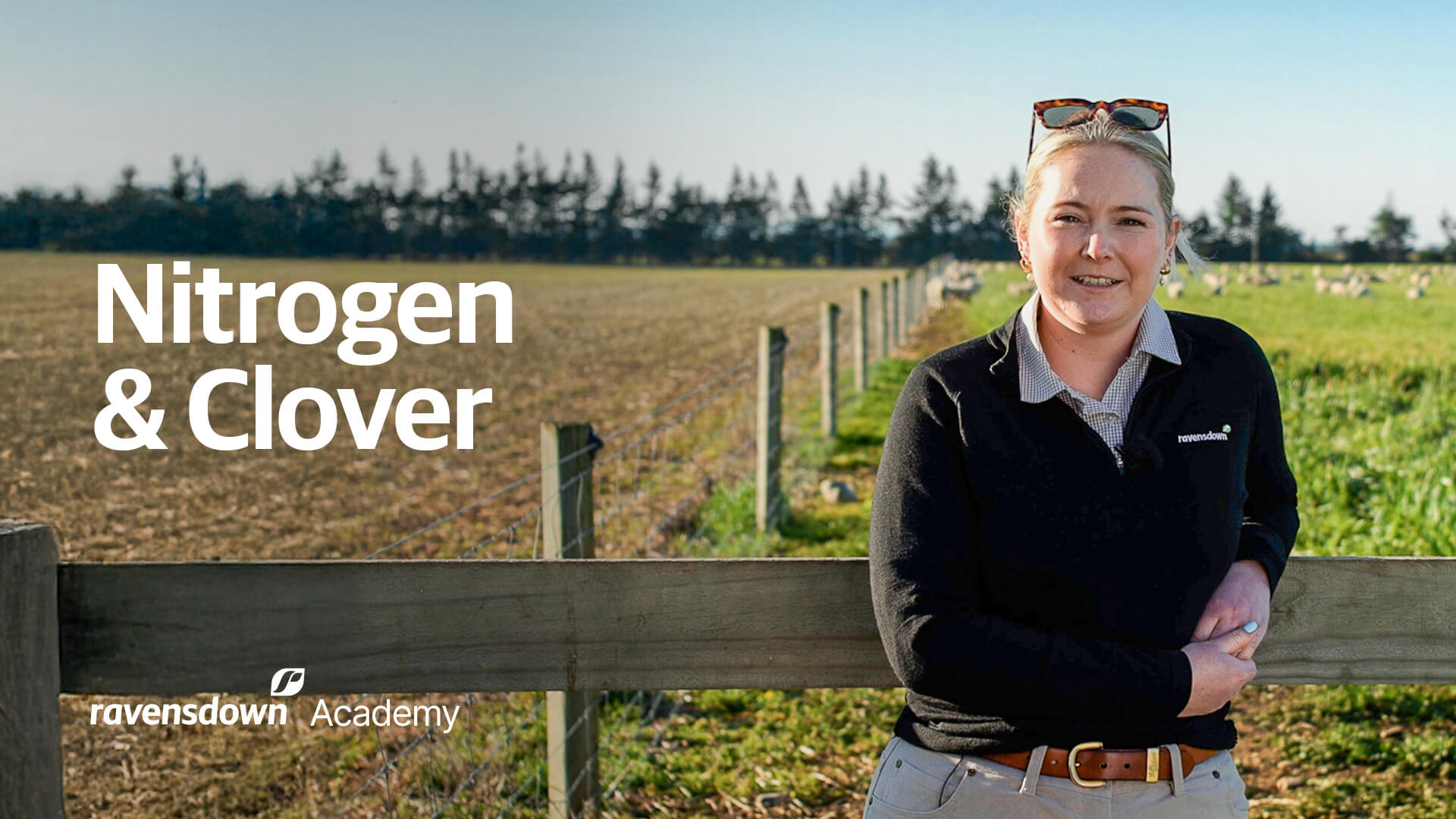 Ravensdown Academy Nitrogen & Clover