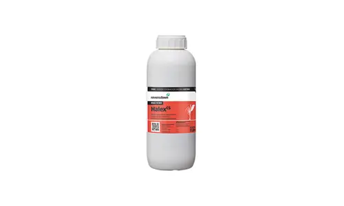 Halex 1L 700X420