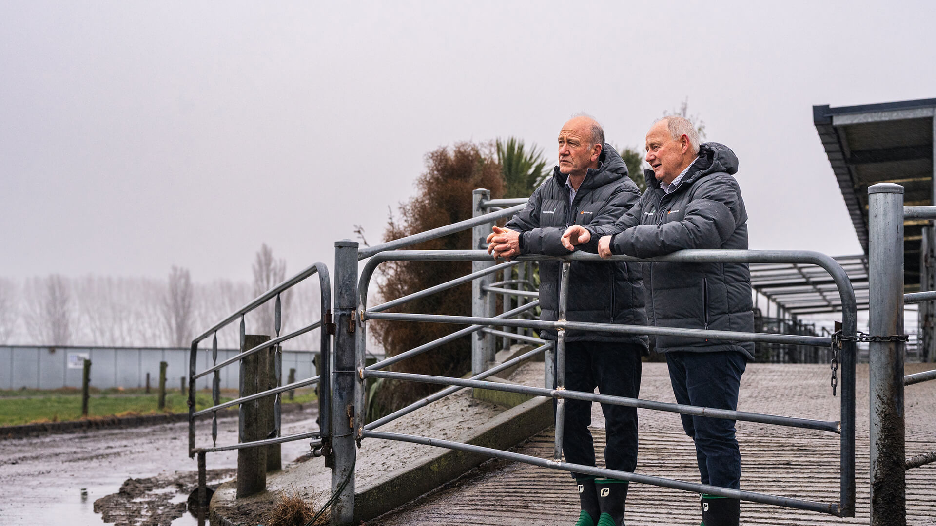 CEO And Board Chairman Of Ravensdown Viewing Farmland From The Gate