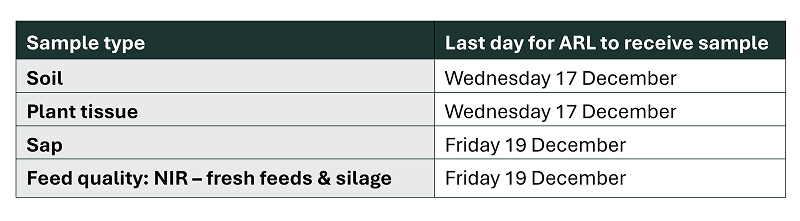 Christmas Store Hours