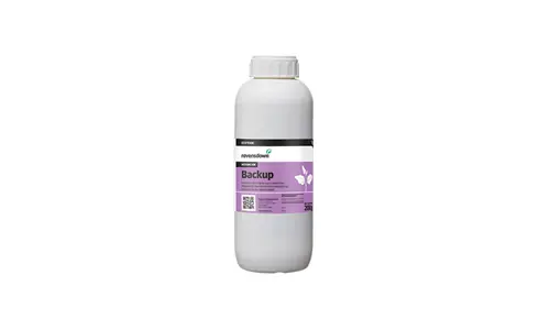 Backup 1L 700X420