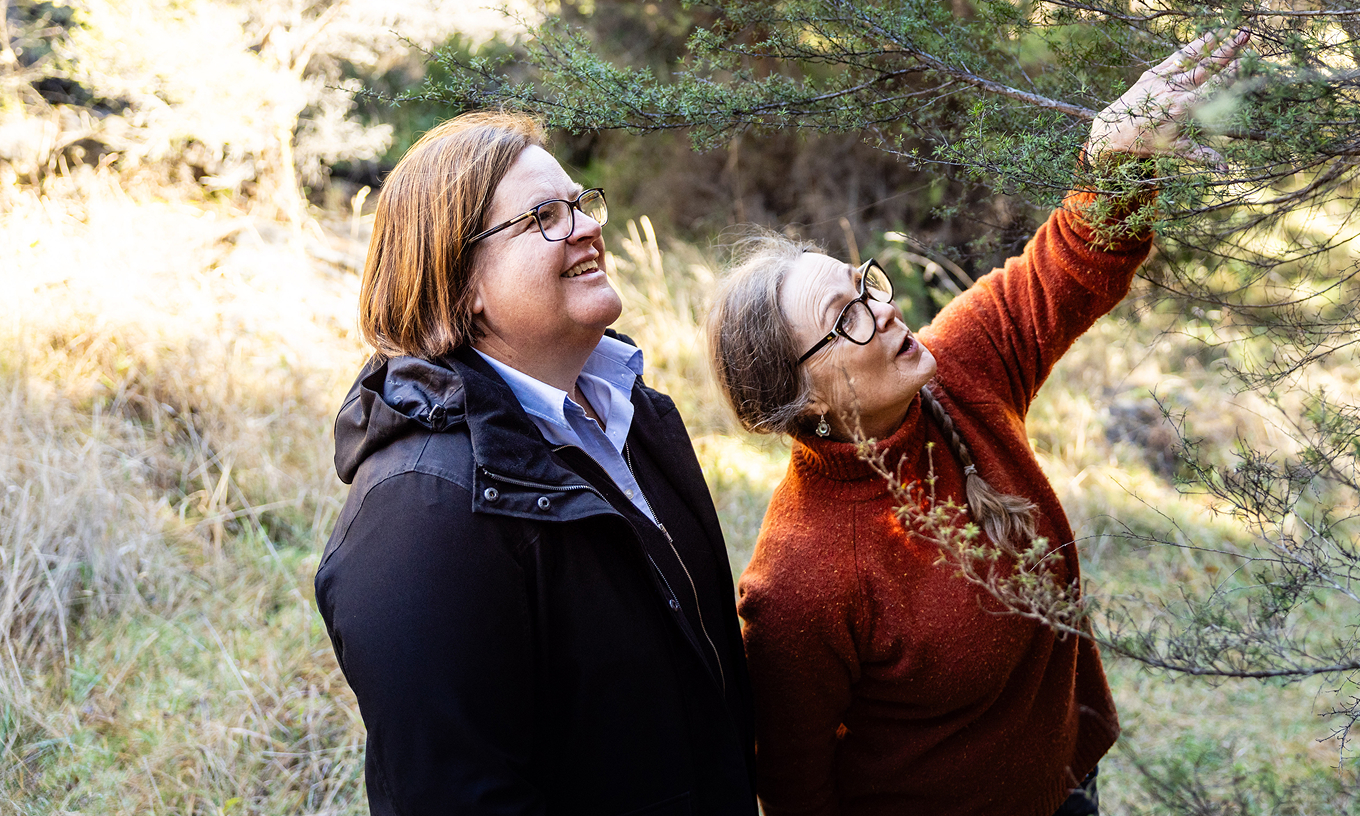Environmental Care Tākaka Hill